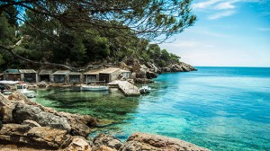 Alquiler coches Ibiza 2013