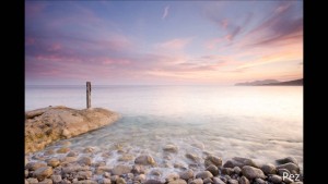 Pez fotografía. Fotografos Ibiza