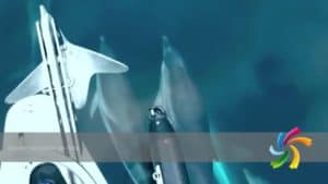 10 albums d’yacht à Ibiza