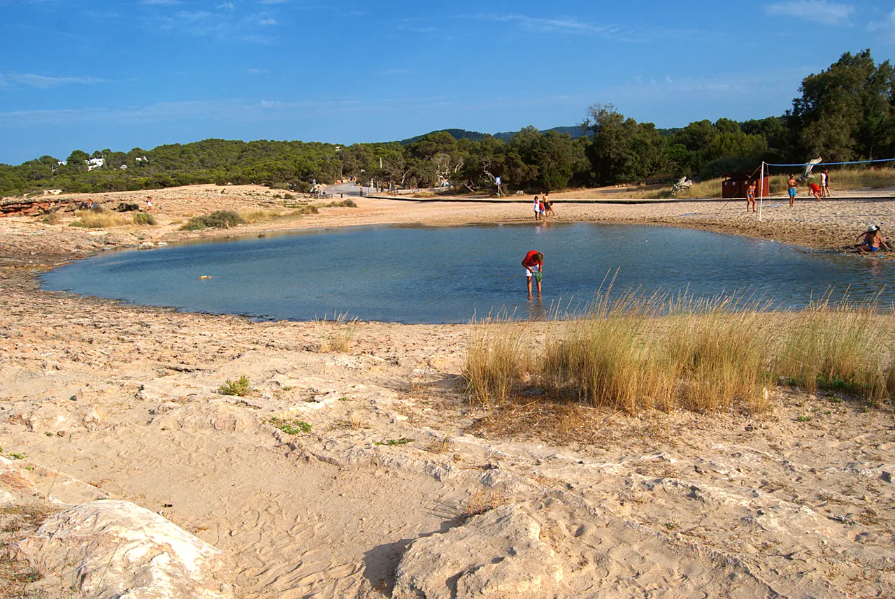 Wasserlache neben dem Sand und den Dünen von Cala Bassa