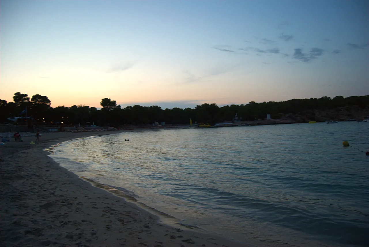 Ufer von Cala Bassa mit dem Pinienwald bei Sonnenuntergang