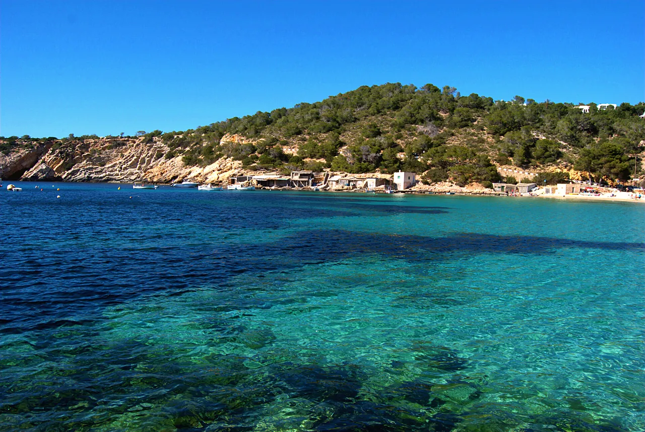 Cala Vadella 3 Agua cristalina de Cala Vadella con la costa de pinos al fondo