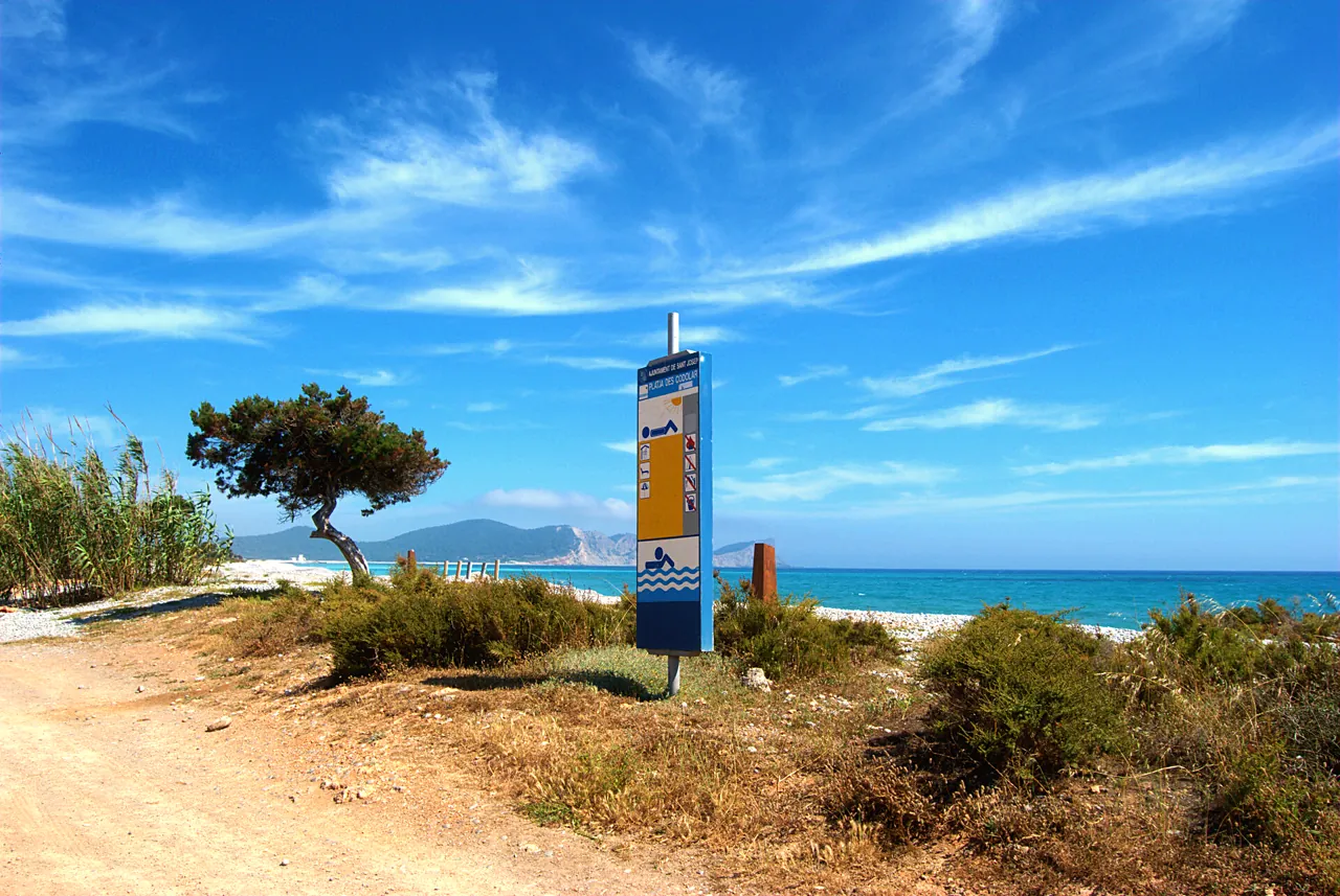 Wacholder und Sandweg am Meer bei Es Codolar