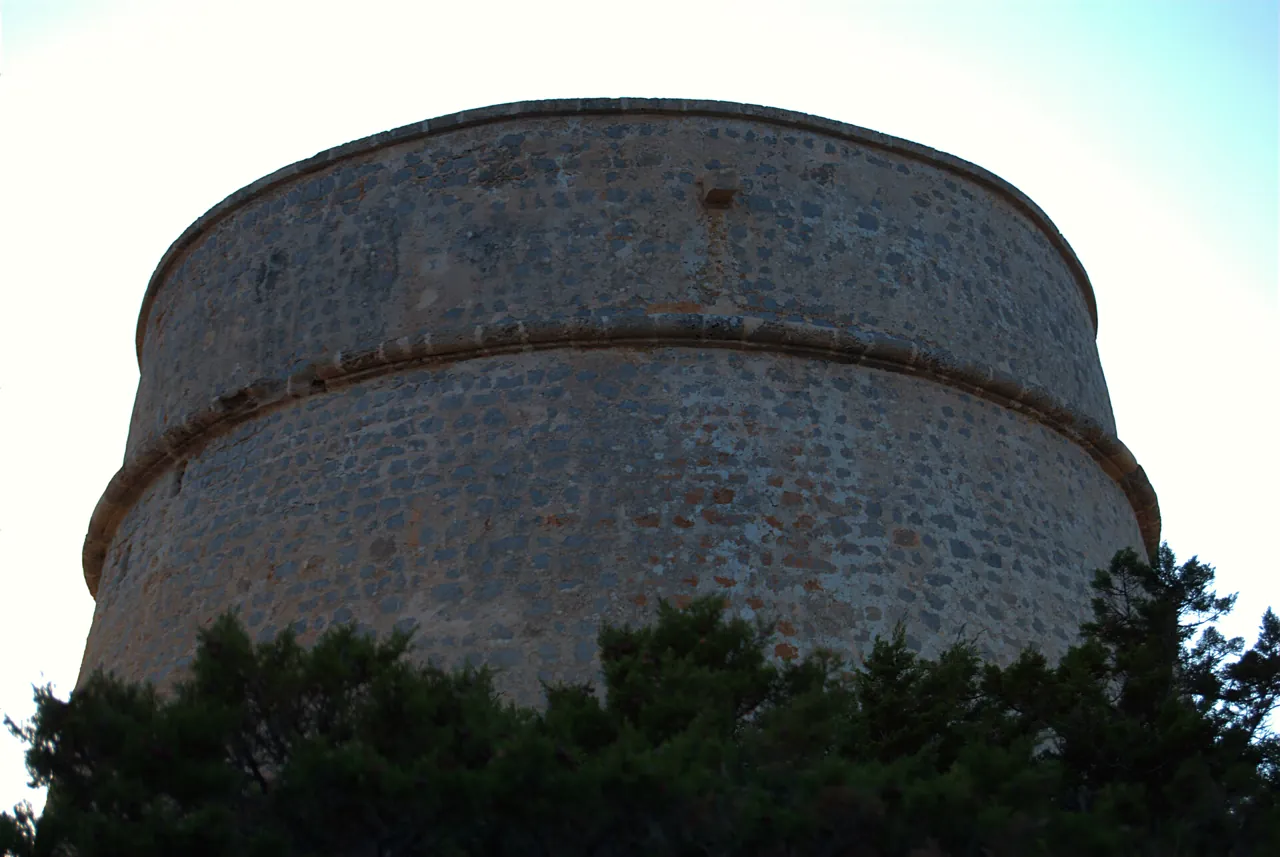 Muro de piedra de la Torre de sa Sal Rossa entre los pinos